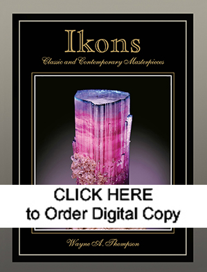 DIGITAL Ikons!  Supplement to January-February 2007