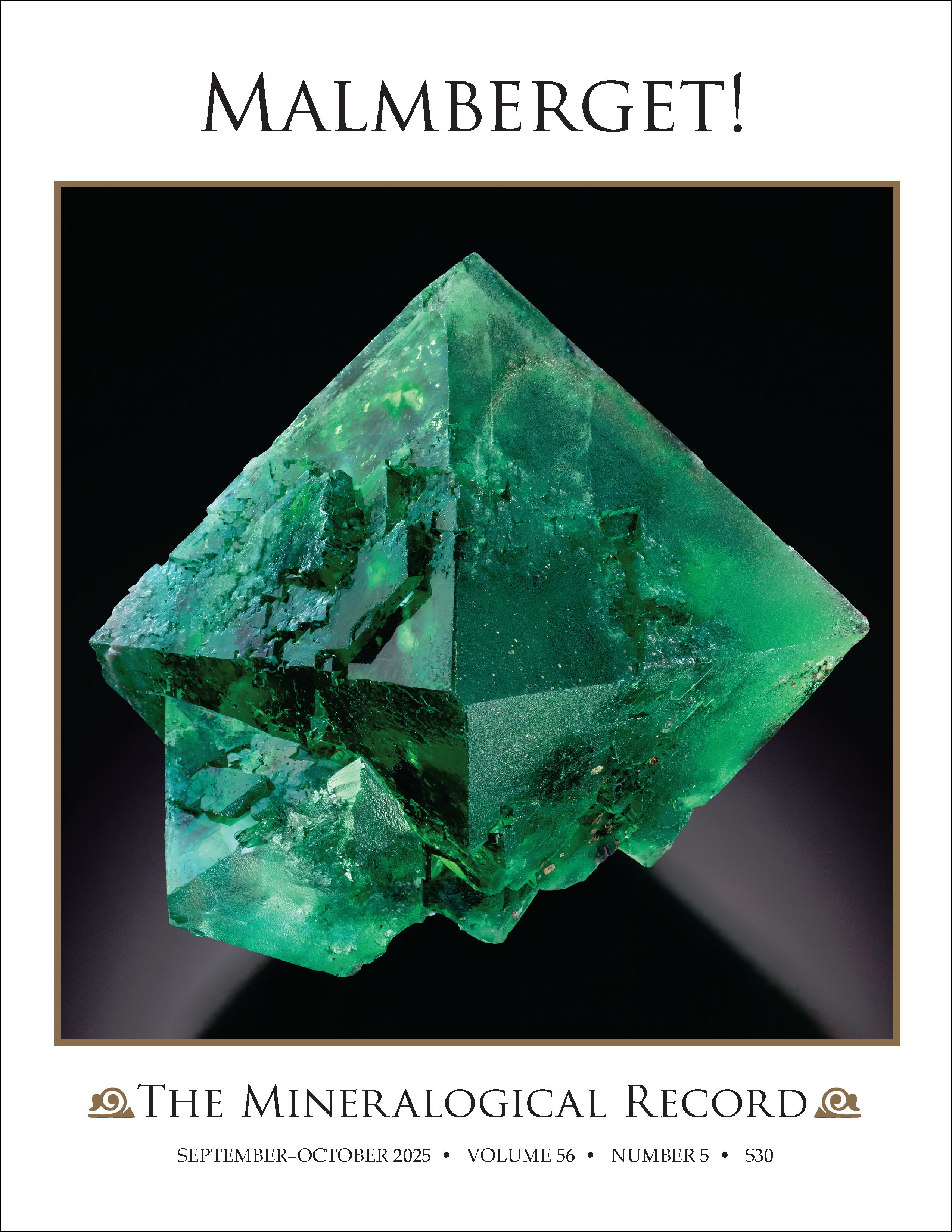 New Recent Issue