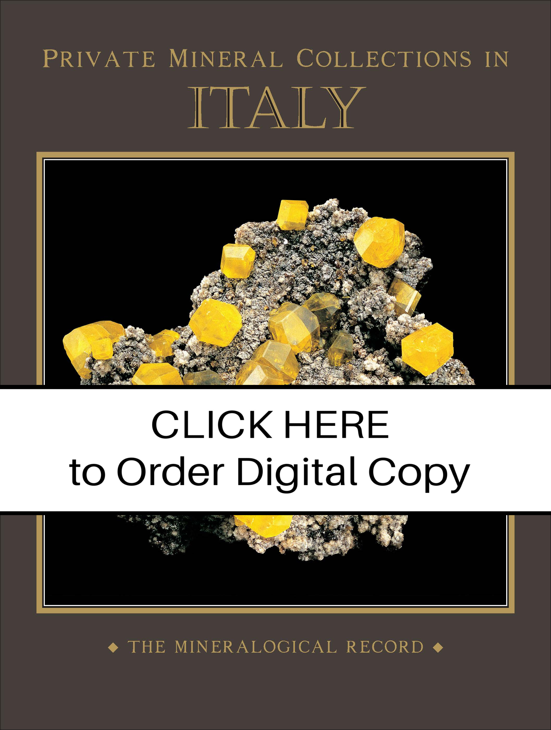 DIGITAL Private Mineral Collections in Italy, sup to Jan-Feb 2011, Vol 42 no 1.1