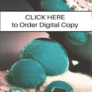 CLICK HERE TO ORDER DIGITAL COPY of Vol 11 no 4.2 - $15