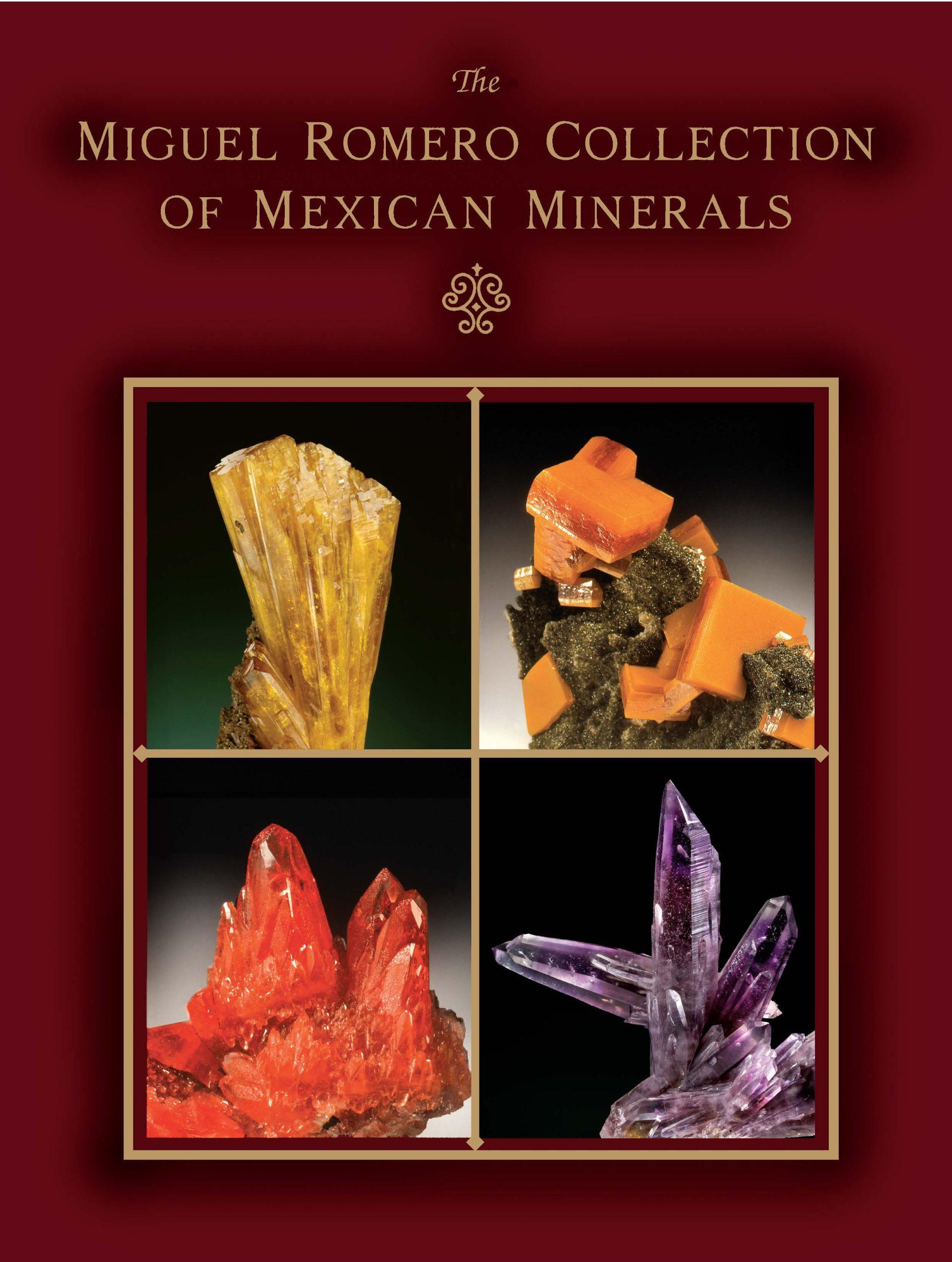 digital2008vol39n6.1supnovdecmiguelromeroCOVER