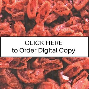 CLICK HERE TO ORDER DIGITAL COPY of Vol 17 no 2.2 - $12