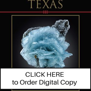 CLICK HERE TO ORDER DIGITAL COPY of Vol 51 no 6.1, supplement to November - December 2020 - $25