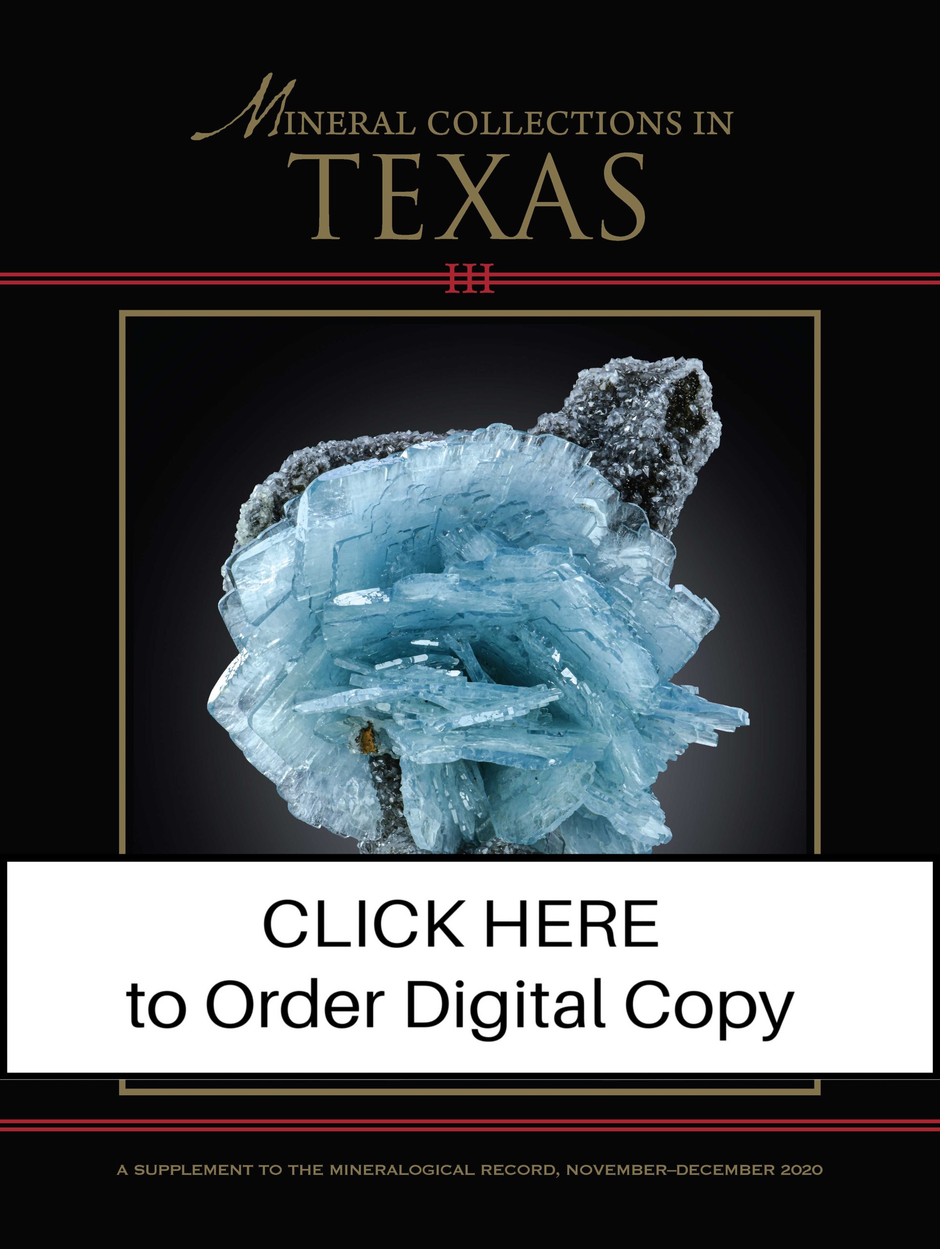 TX-Supplement_COVERSdigital(1)