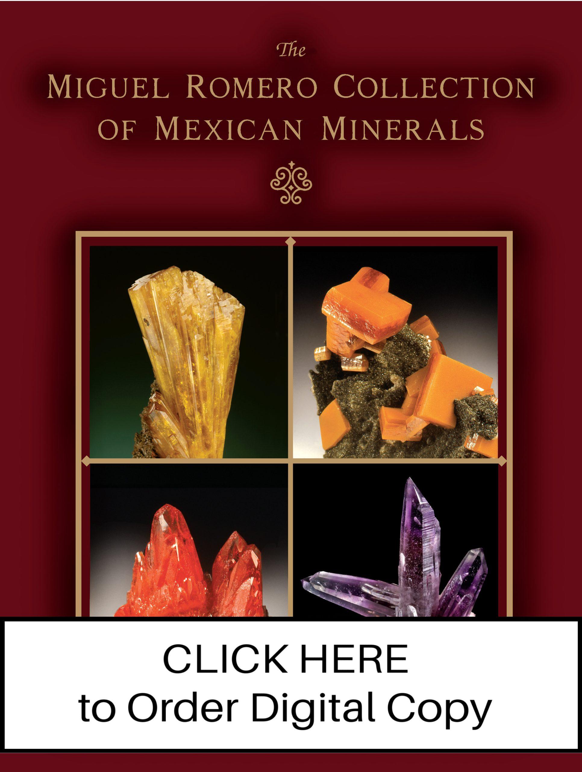 digital2008vol39n6.1supnovdecmiguelromeroCOVERnew