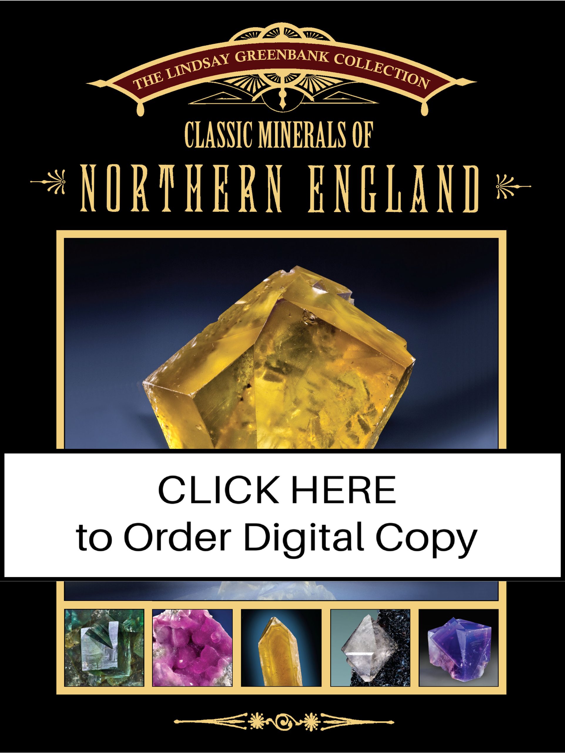 digital2010vol41n1.1COVERnorthernengland