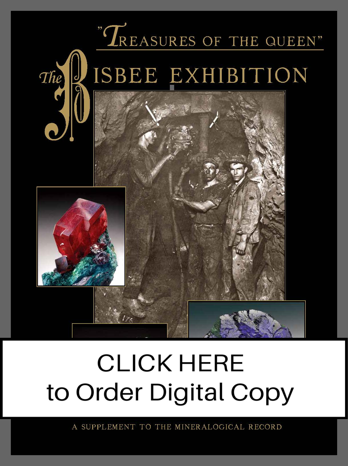 digital2012vol43n1.1bisbeesupjanfebCOVERb