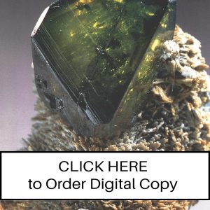 CLICK HERE TO ORDER DIGITAL COPY of Vol 19 no 2.2 - $12