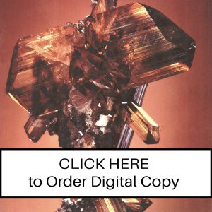 CLICK HERE TO ORDER DIGITAL COPY of Vol 19 no 3.2 - $12