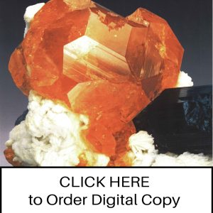 CLICK HERE TO ORDER DIGITAL COPY of Vol 20 no 2.2 - $12