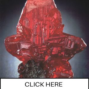 CLICK HERE TO ORDER DIGITAL COPY of Vol 20 no 3.2 - $12