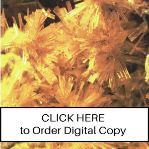 CLICK HERE TO ORDER DIGITAL COPY of Vol 20 no 4.2 - $12