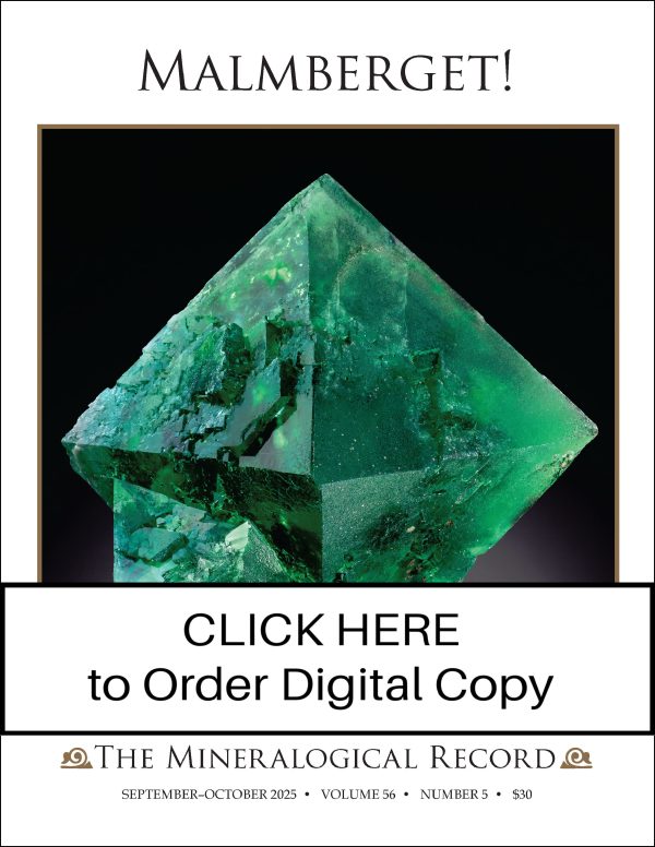 1 Year Digital Subscription Add-on to Individual Paper Subscription