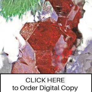CLICK HERE TO ORDER DIGITAL COPY of Vol 22 no 1.2 - $12