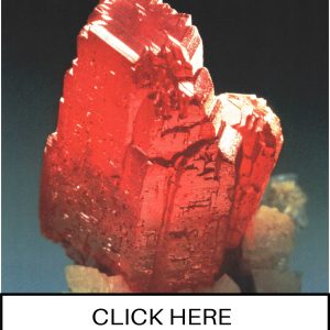 CLICK HERE TO ORDER DIGITAL COPY of Vol 22 no 2.2 - $12