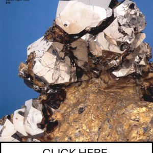 CLICK HERE TO ORDER DIGITAL COPY of Vol 29 no 2.2 - $12