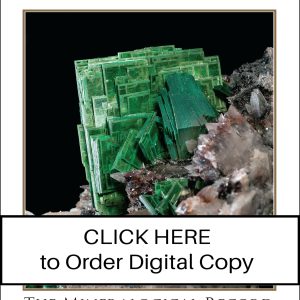 1 Year Digital Subscription for Individuals