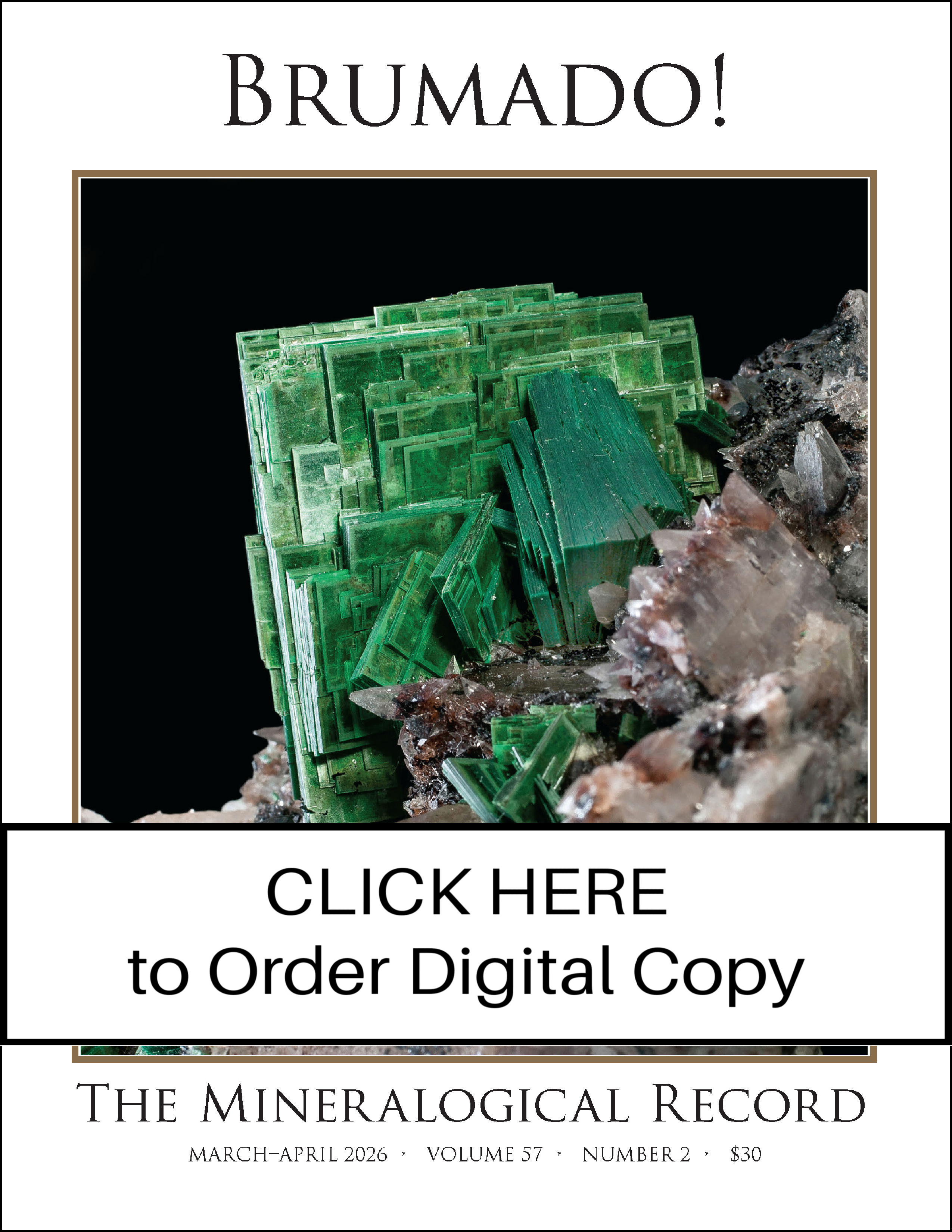 DIGITAL Mar-Apr 2026, Vol 57 no 2, Brumado!