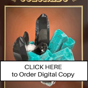 CLICK HERE TO ORDER DIGITAL COPY of Vol 45 no 6.12 - $25