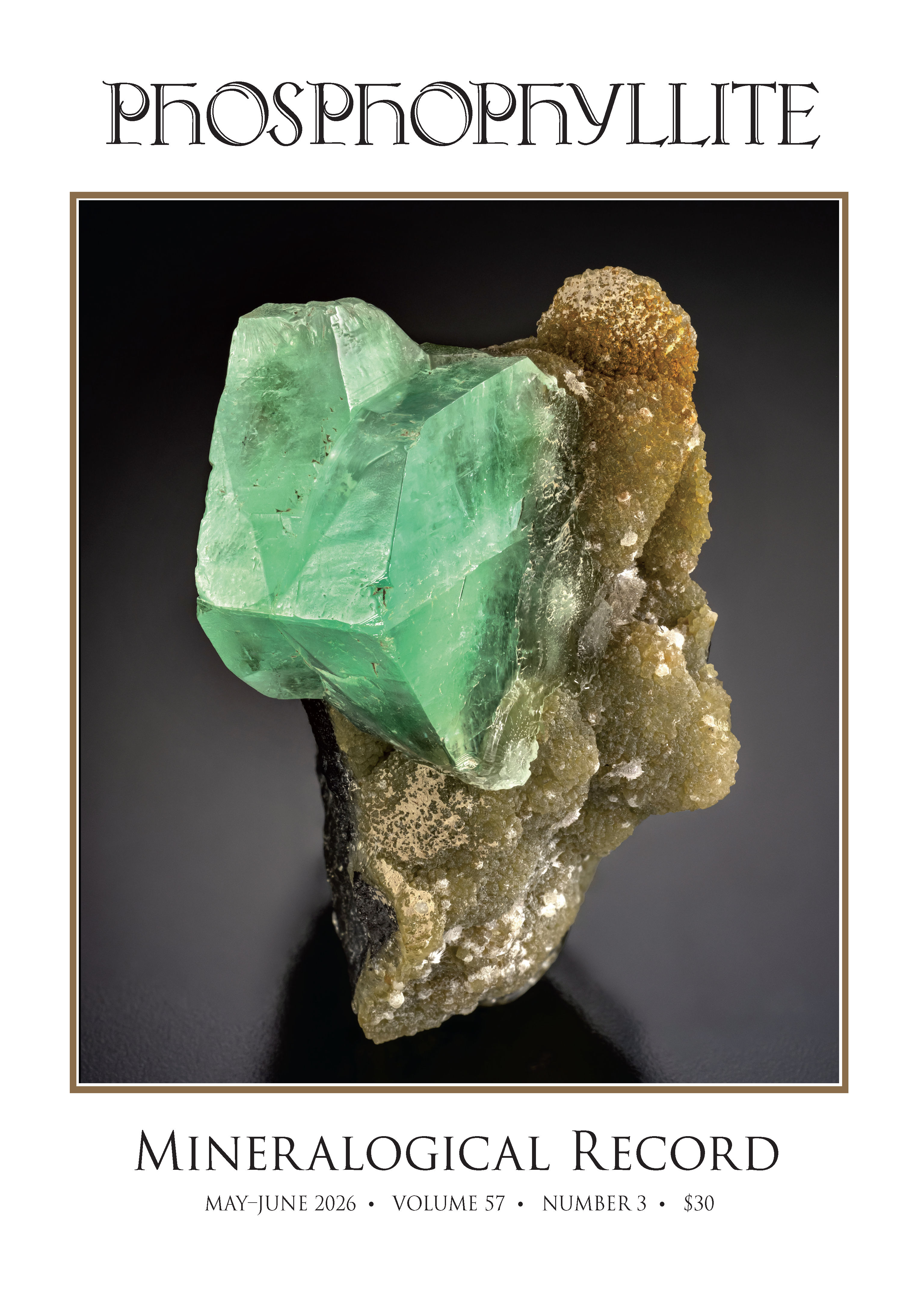 May-June 2026, Vol 57 no 3, Phosphophyllite