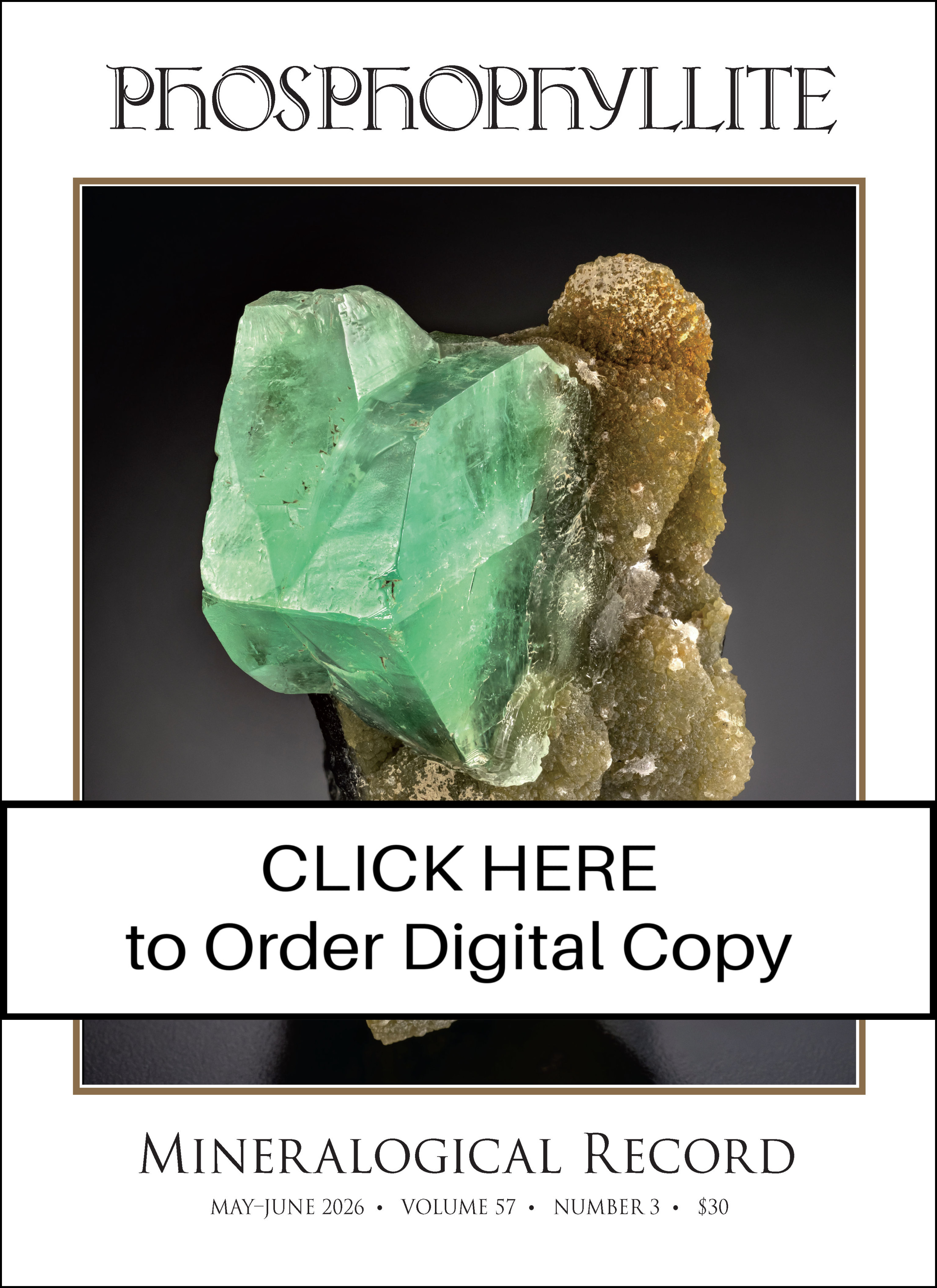 DIGITAL May-June 2026, Vol 57 no 3, Phosphophyllite
