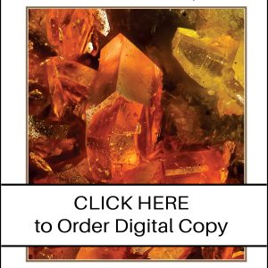 CLICK HERE TO ORDER DIGITAL COPY of Vol 57 no 4.2 - $30