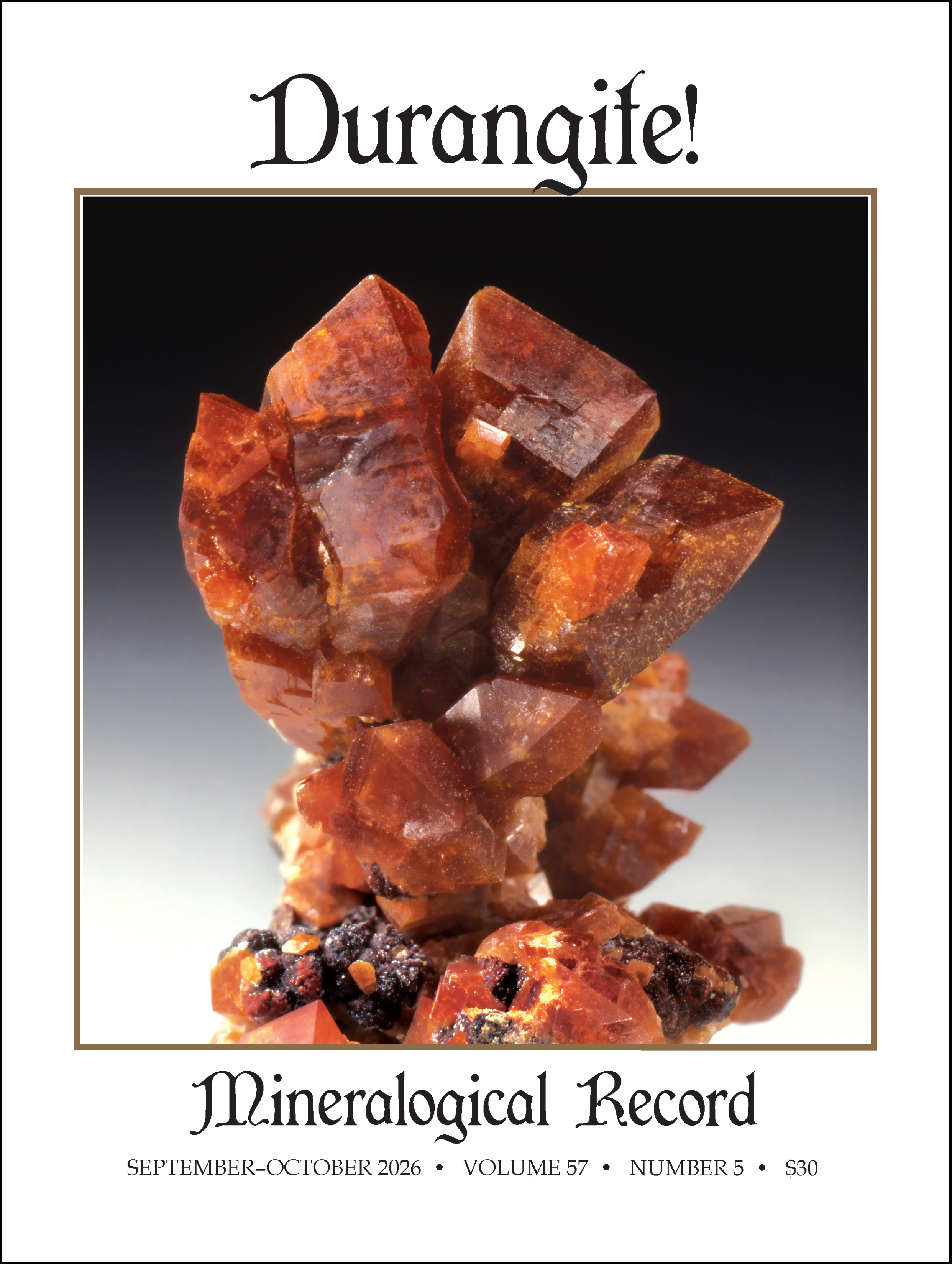 New Recent Issue